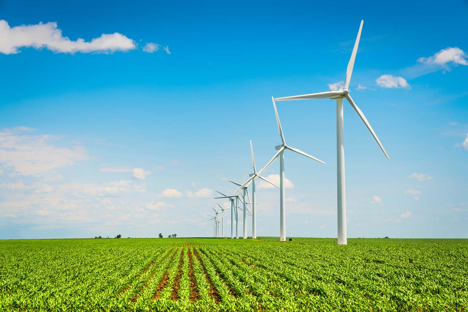 A field of green crops with several white wind turbines against a bright blue sky and scattered clouds.