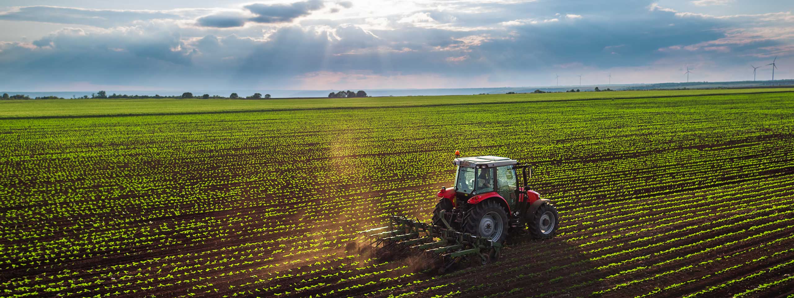 A red tractor ploughing a green field under cloudy skies, with rows of crops and wind turbines in the background.